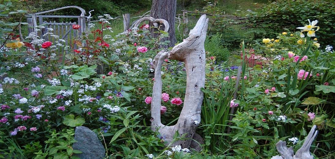 Gardens | Dancing Light Cottage - Salt Spring Island